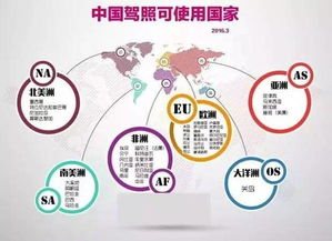 厲害了word中國駕照 約上好友，開啟全球自駕之旅！